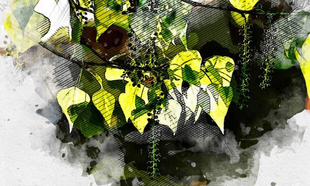 Начало мая подарит орловцам долгожданное тепло