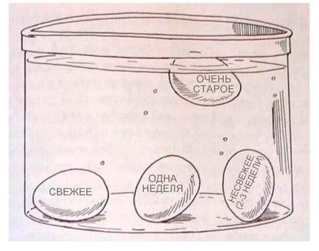 Как проверить свежесть яиц