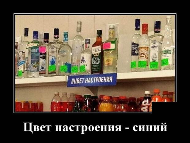 Демотиваторы
