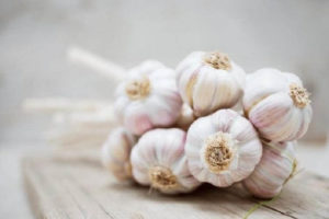 https://prolife.ru.com/wp-content/uploads/2018/09/what-will-happen-with-organism-if-often-eat-garlic_6_1529773011652-300x200.jpg