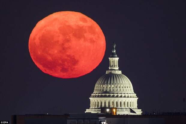 Луна над Капитолием. Вашингтон, США nasa, Суперлуние, в мире, луна, новости, полнолуние, редкие фото, фото