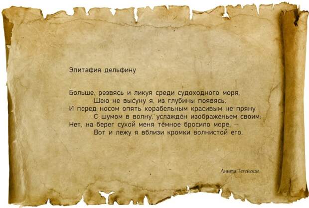 Эпитафия дельфину, перевод Юрия Францевича Шульца. \ Фото: google.com. Эпитафия дельфину, перевод Юрия Францевича Шульца. \ Фото: google.com.