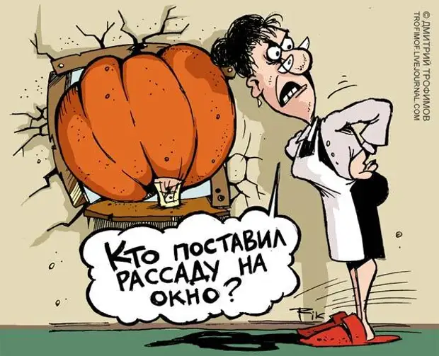 Приколы про дачников и огородников картинки смешные с надписями прикольные