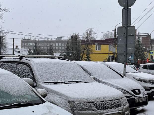 Мокрый снег и гололед сохранятся в Тульской области в течение дня 8 января