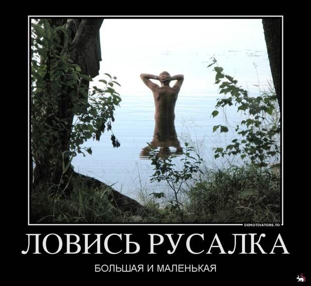 Демотиваторы и мотиваторы. Демки вторник Демотиваторы и мотиваторы. Демки вторник