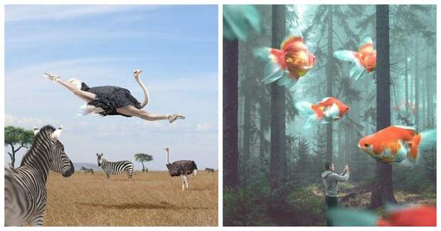 Сюрреалистичные фотографии на грани между реальностью и сказкой