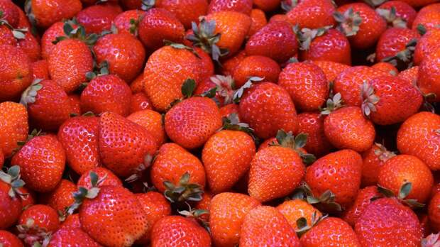 В Митине открылись ягодные развалы по трем адресам