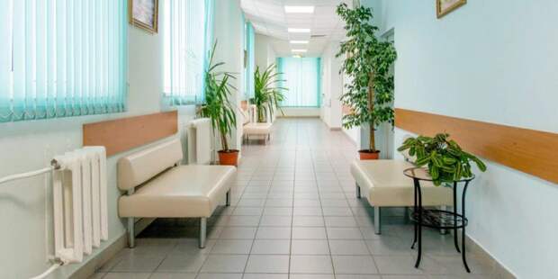Департамент здравоохранения: Московские поликлиники станут комфортнее для пациентов / Фото: mos.ru