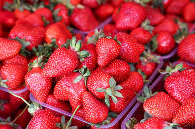 Запретная клубничка: в районе парка Галицкого в Краснодаре выявлены продавцы, нарушавшие закон