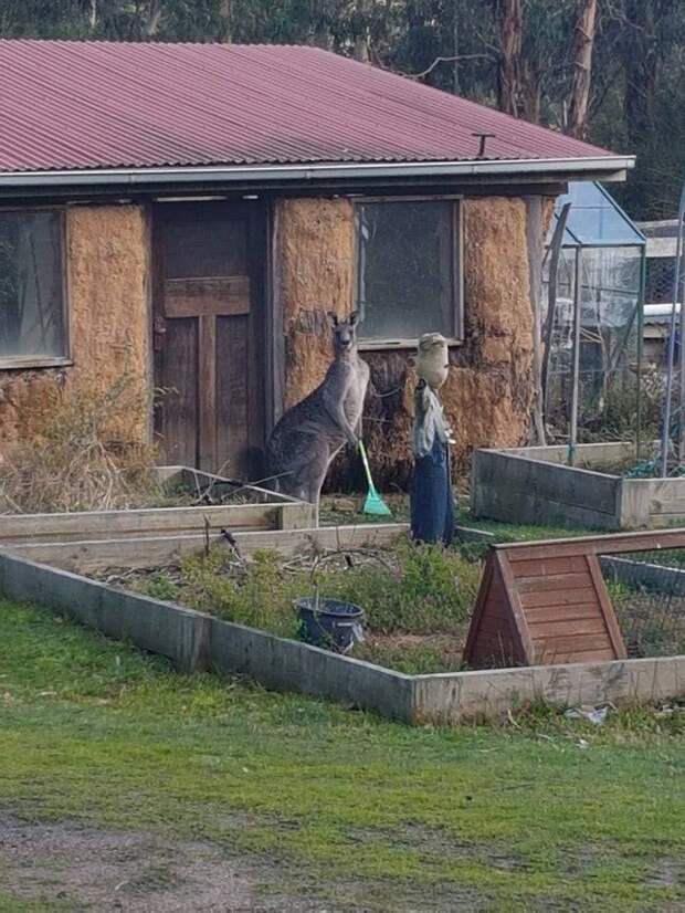 13 фото, когда показалось то, чего нет