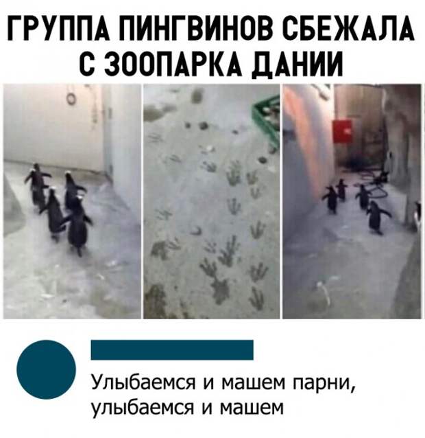 www.vsyako.net