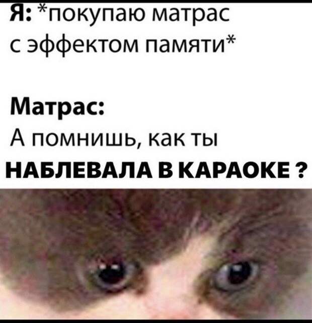 Лучшие шутки и мемы из Сети