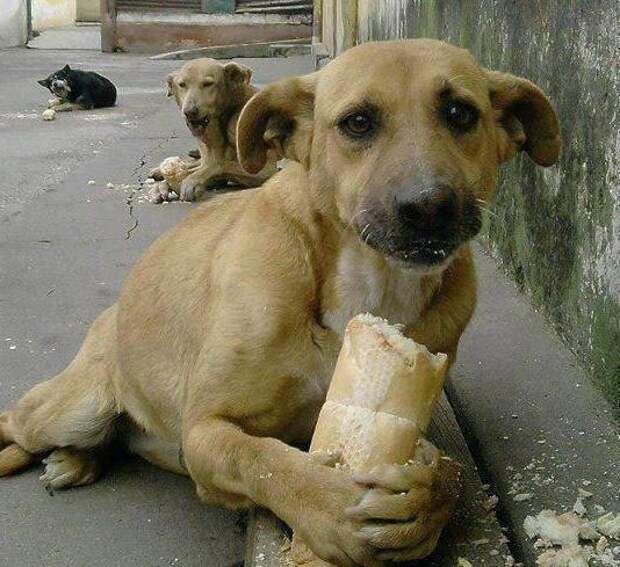 Эмоциональные снимки  конкурс, лучшие, фото, фотоподборка