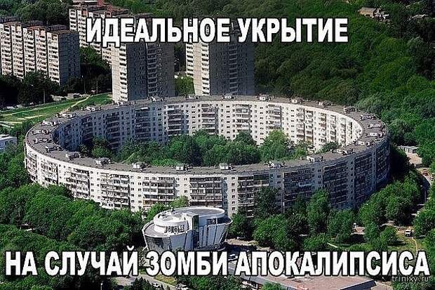 Смешные картинки с надписями