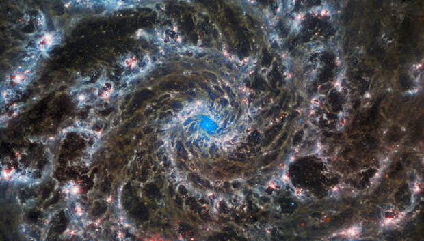 Спиральная галактика М74 в созвездии Рыб