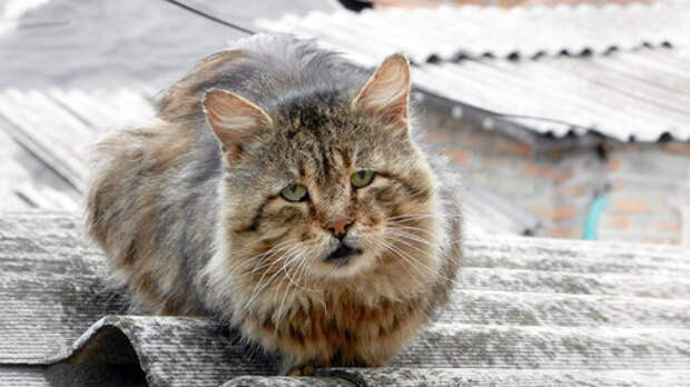 Взгляд в себя