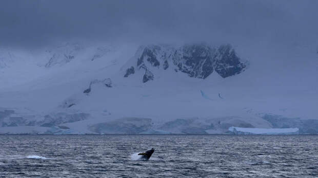 Станция "Восток" зафиксировала самую низкую температуру на планете
