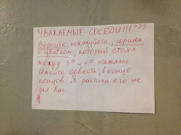 Забавные надписи и объявления