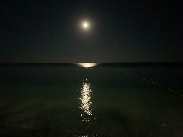 В Анапе собрали тысячу мешков грунта с нефтью