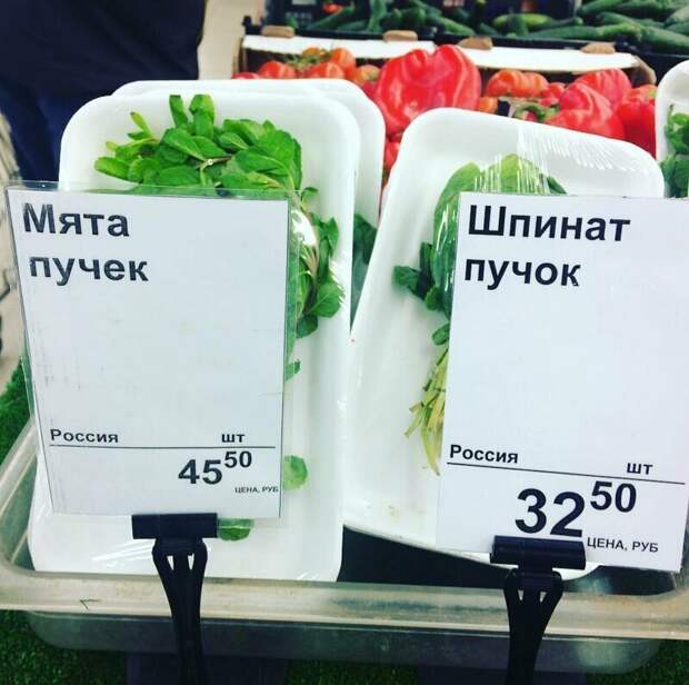 Похвастайся своей безграмотностью перед людьми и получи ничего Похвастайся своей безграмотностью перед людьми и получи ничего