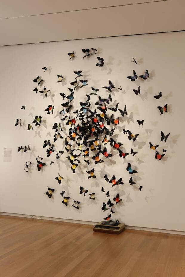 butterflies07 Бабочки как искусство