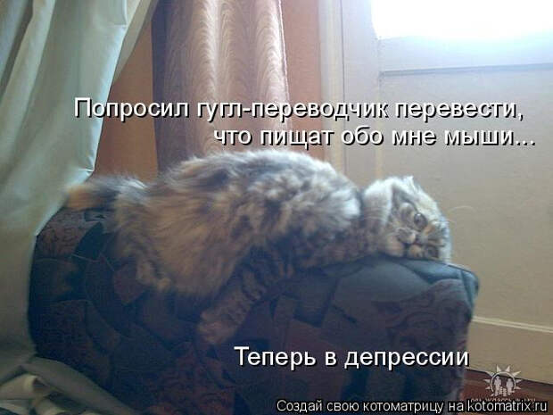 kotomatritsa_54 (640x480, 183Kb)