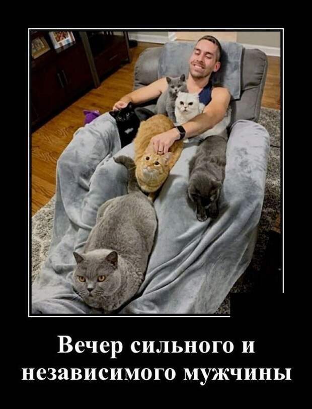 Демотиваторы (20 фото)