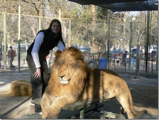 extreme-zoo_2_(funnypagenet.com)