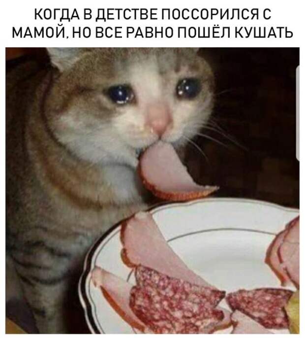 Подборка картинок (20 фото)