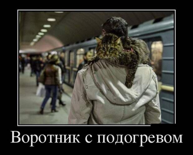 Зачетные и смешные демотиваторы из нашей жизни (11 фото) Зачетные и смешные демотиваторы из нашей жизни (11 фото)