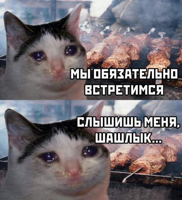 Немного картинок для настроения 27.04.20