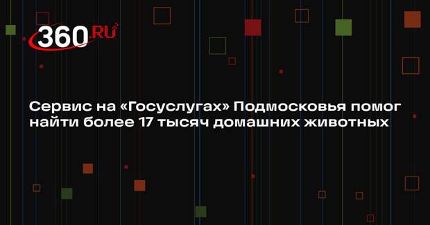 Сервис на «Госуслугах» Подмосковья помог найти более 17 тысяч домашних животных