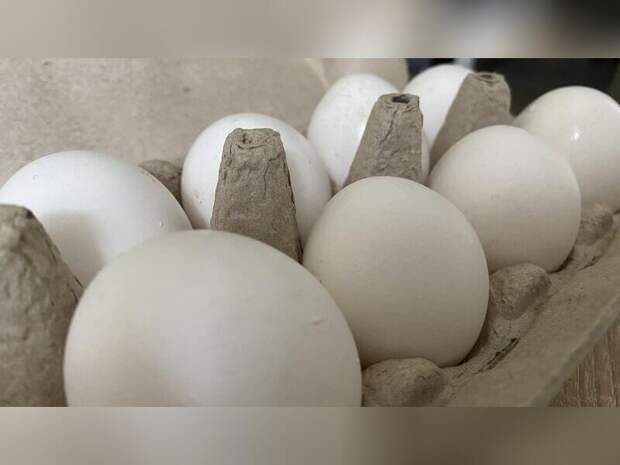 Яйца под защитой: перед Пасхой цены на них расти не будут