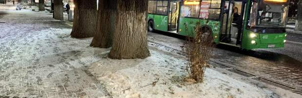 Еще один автобусный маршрут продлили в Алматы