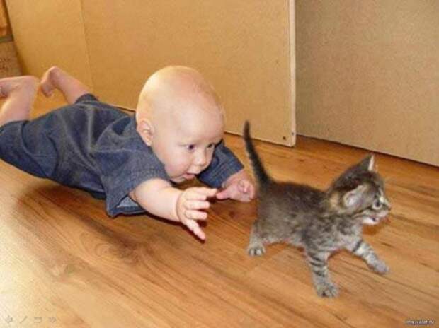 Дети и кошки