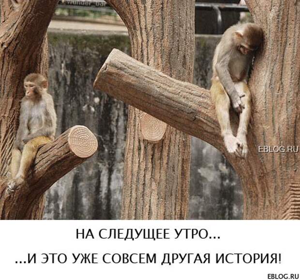 Пятничный позитив! Смотрим, заряжаемся на выходные! 20 прикольных картинок.