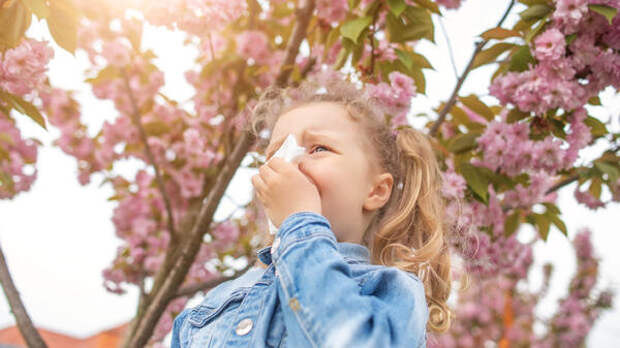 Сезон цветения близко: как подготовить ребенка с аллергией заранее — советы аллерголога