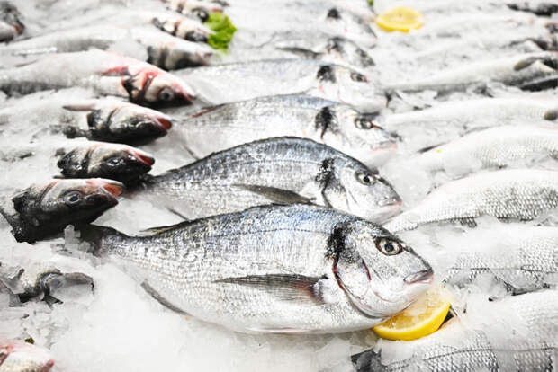 Азиатская страна нарастила импорт российской рыбы