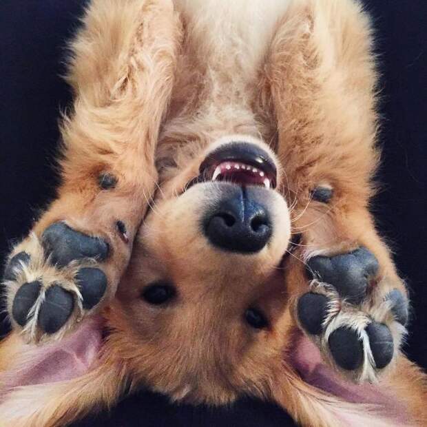 The Sky’s Awake So I’m Awake! And It’s Time To Play!
