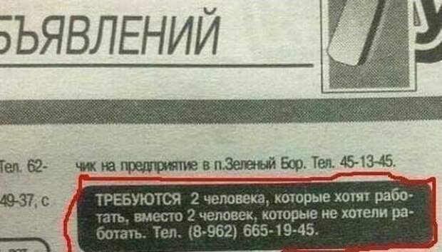 Самые весёлые объявления о приёме на различную работу