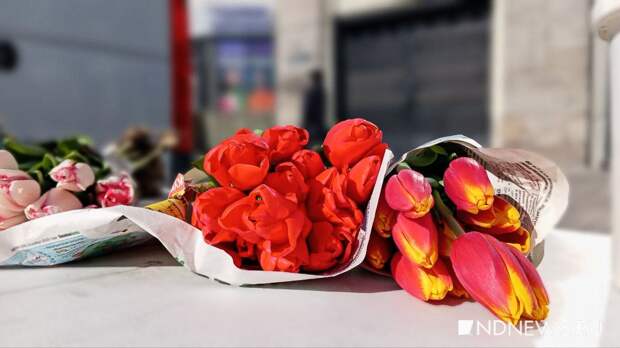 К 8 Марта на Урал завезли полмиллиона литовских цветов