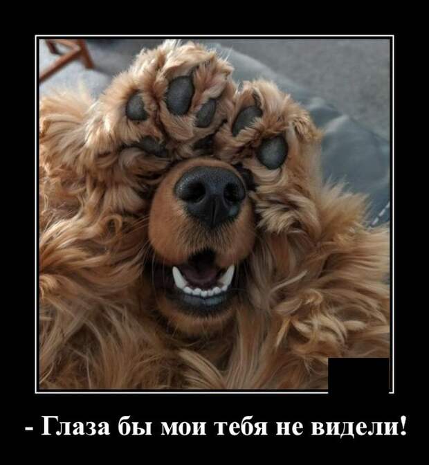 Демотиваторы (20 фото)