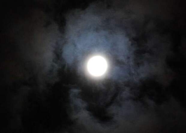 luna-dieta-2.JPG