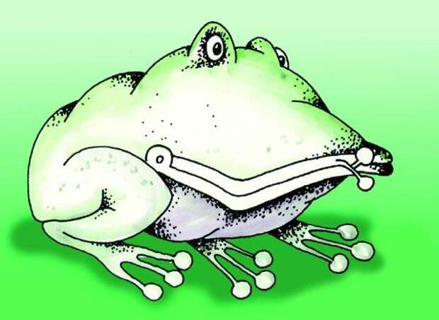 Душу жабу картинка. Жаба карикатура. Лягушка карикатура. Жадная жаба. Жаба душит.