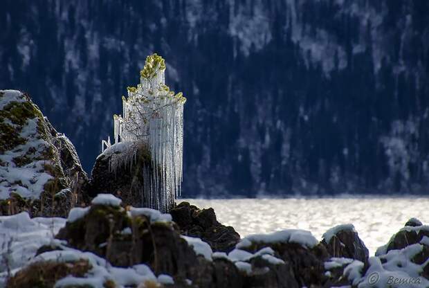 25 потрясающих ледяных скульптур, созданные самой природой зима, лед, природа, скульптура
