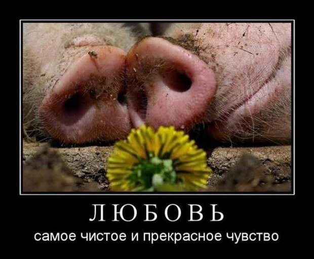 Демотиваторы о любви № 1