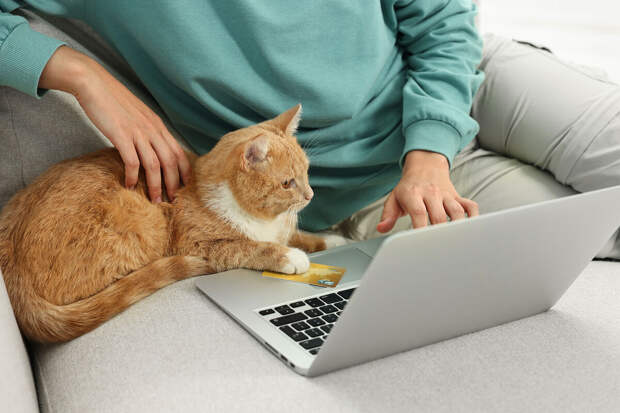 Brand Analytics: фраза "Можно, а зачем?" возглавила топ мемов в начале 2026 года