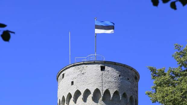 Посол России обвинил Эстонию в нарушении международного права