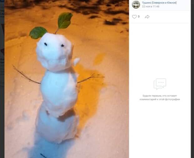 Фото дня: снеговик на прогулке