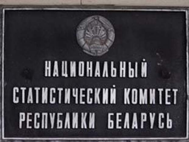 Белстат предлагает белорусам "стучать" на себя Белстат предлагает белорусам "стучать" на себя